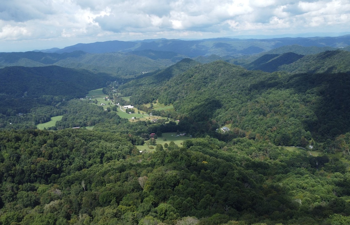 Tennessee Survey