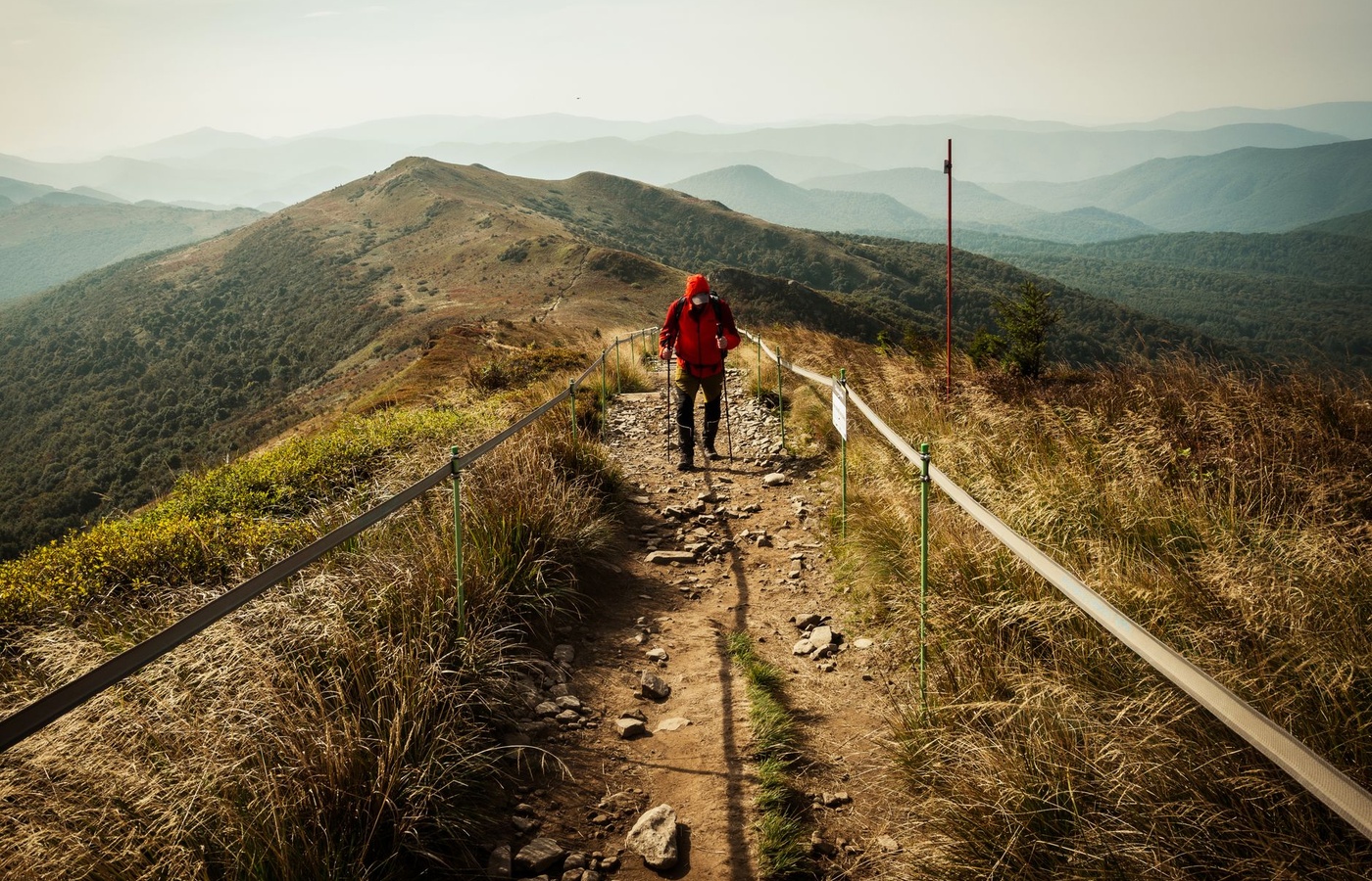 Trail Guide to Body