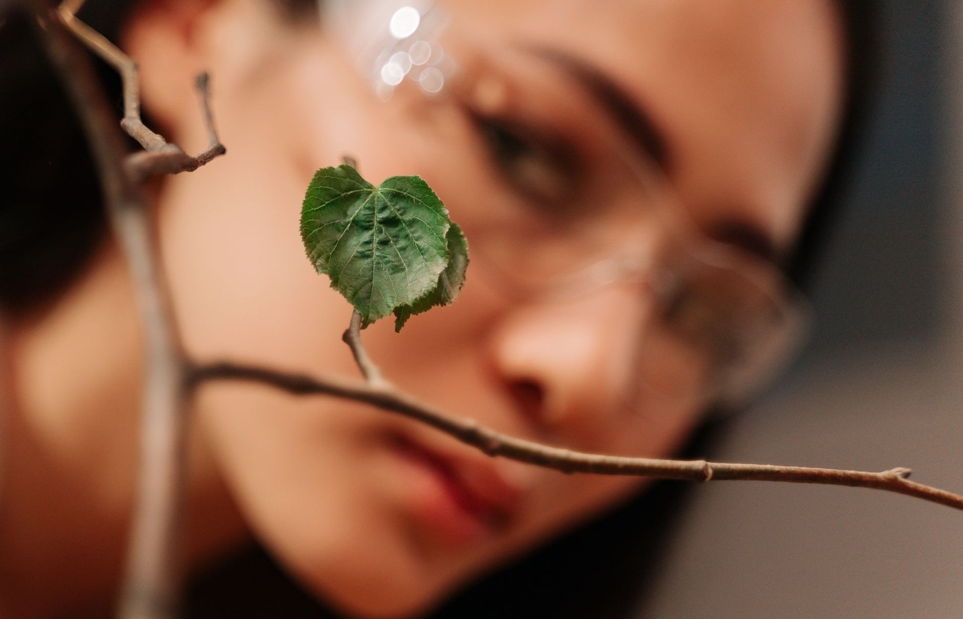 Tree Risk Assessment Qualification (TRAQ)