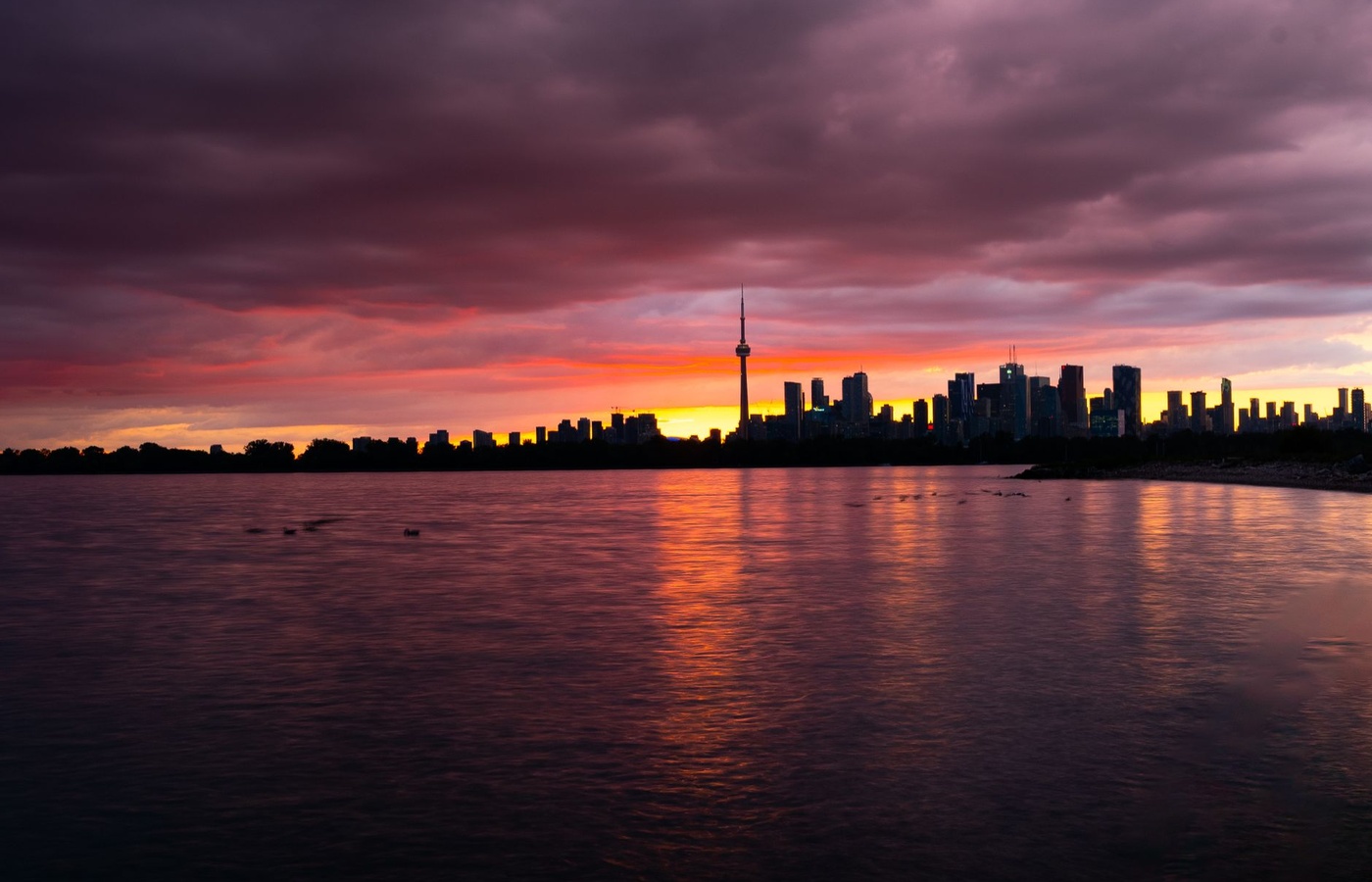 Travel Industry Council of Ontario