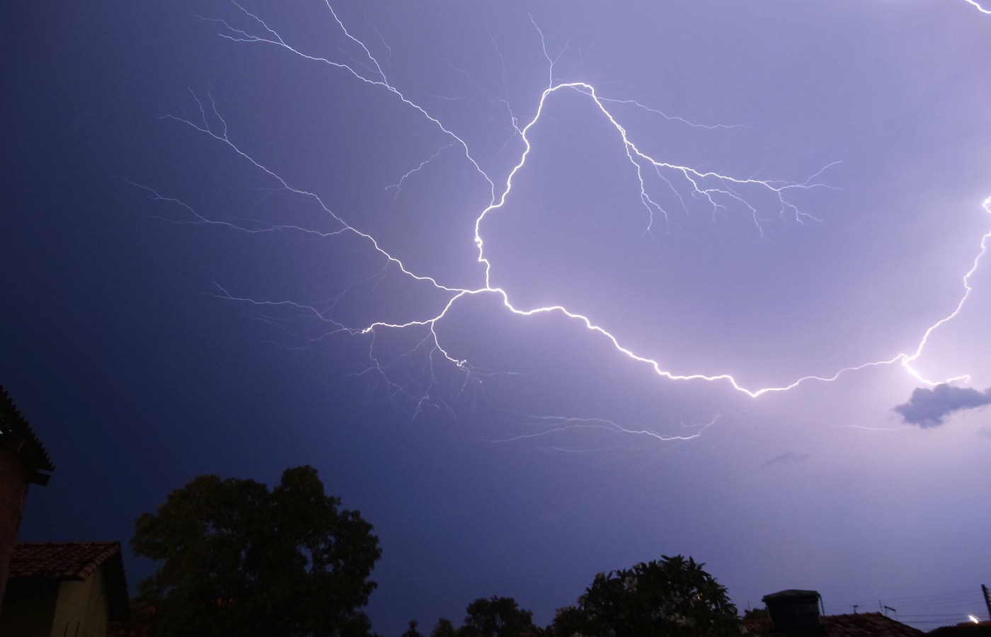 Tree Support and Lightning Protection