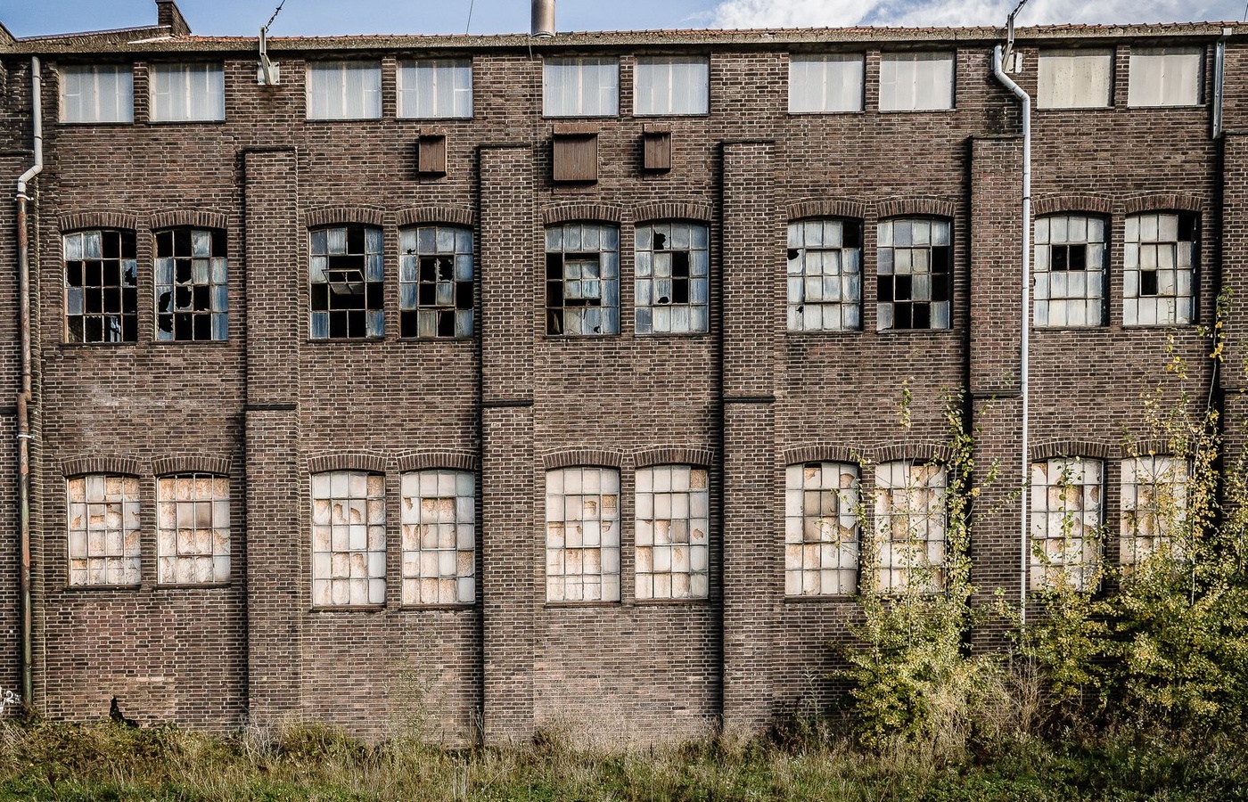 The Triangle Factory Fire