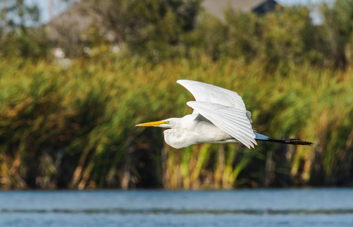 Texas Aquatic Science