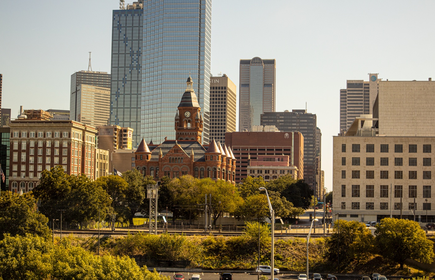 Texas HOSA – Area Officer