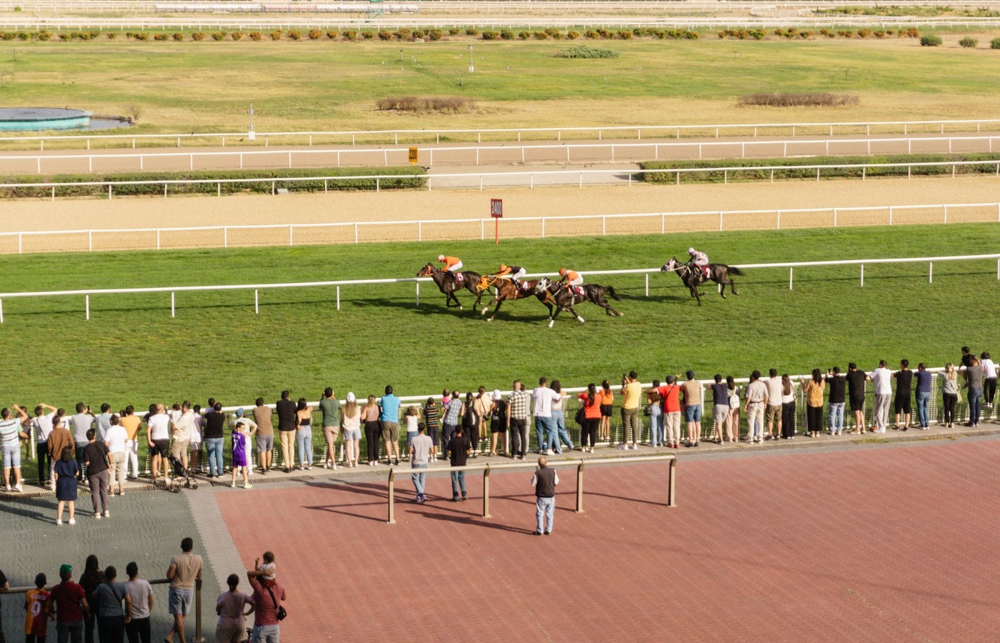 Texas Racing Commission Horse Trainer