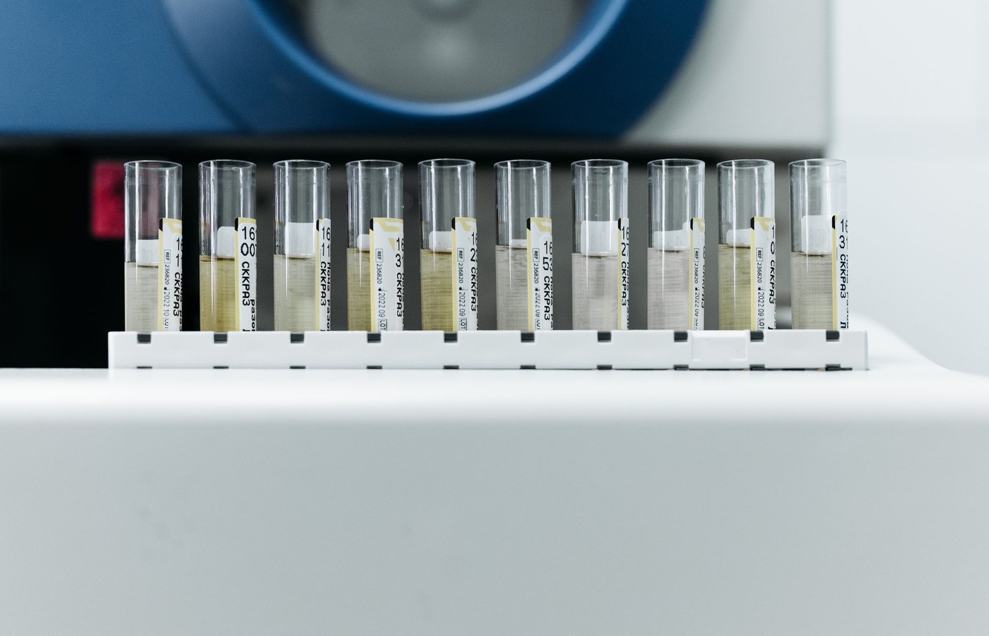 University of Central Florida (UCF) BCH4024 Medical Biochemistry 1