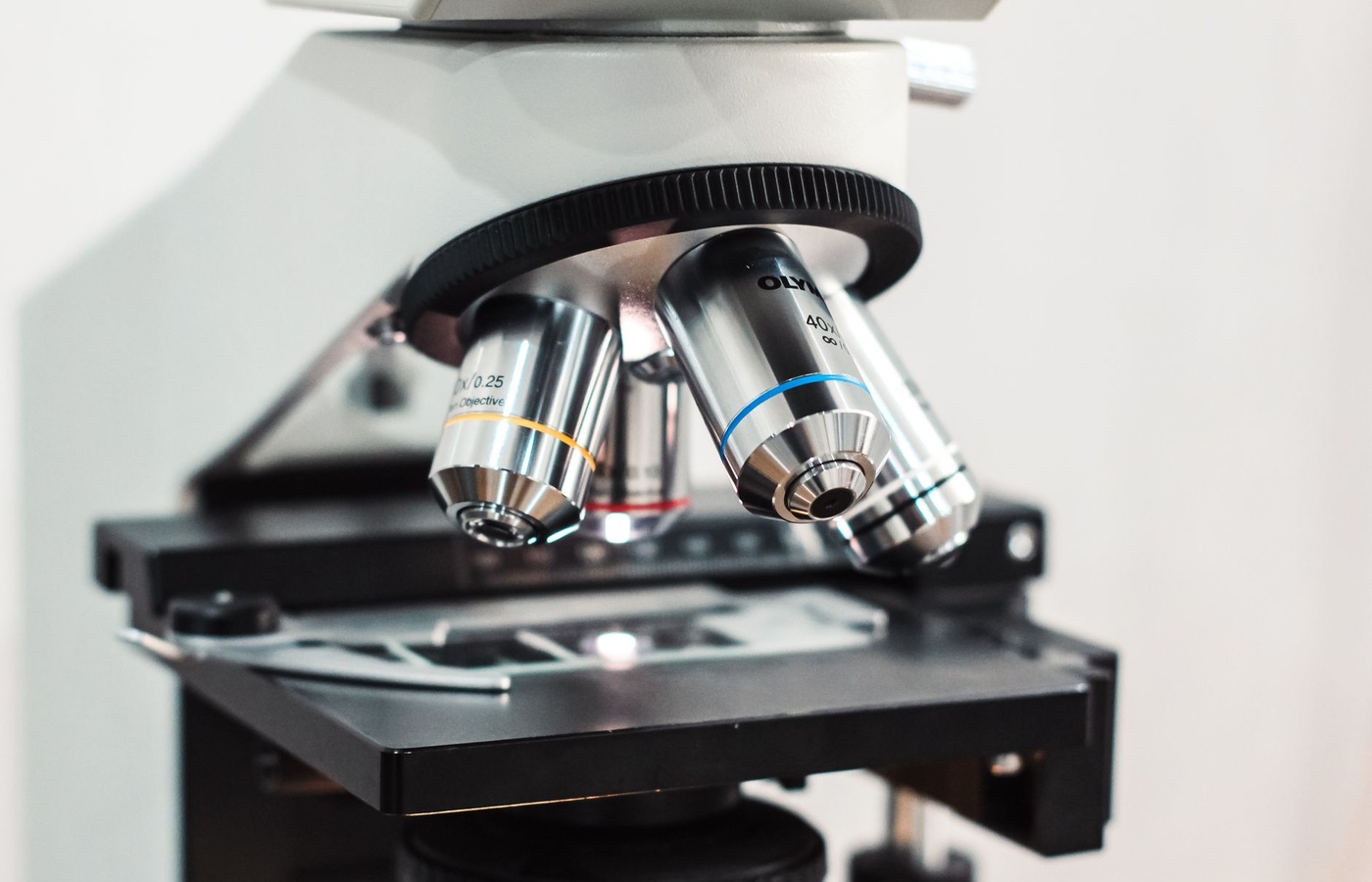 University of Central Florida (UCF) Biology Exit