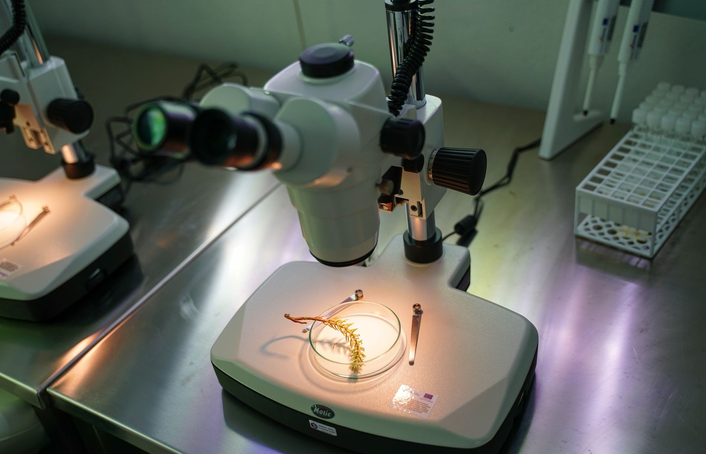 University of Central Florida (UCF) BSC1005 Biological Principles 2