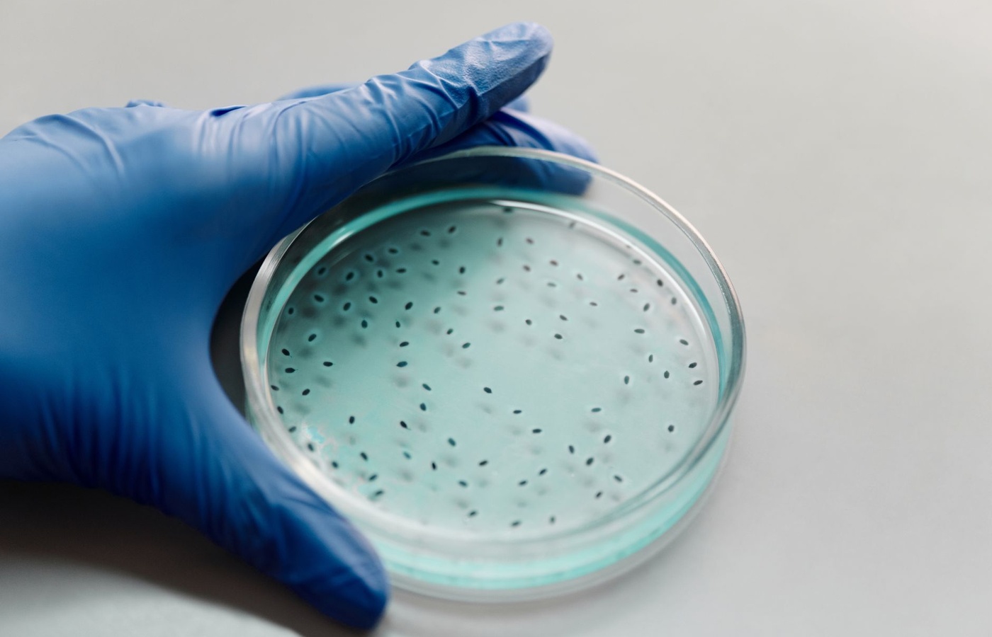 University of Central Florida (UCF) MCB2004 Microbiology for Health Professionals 2
