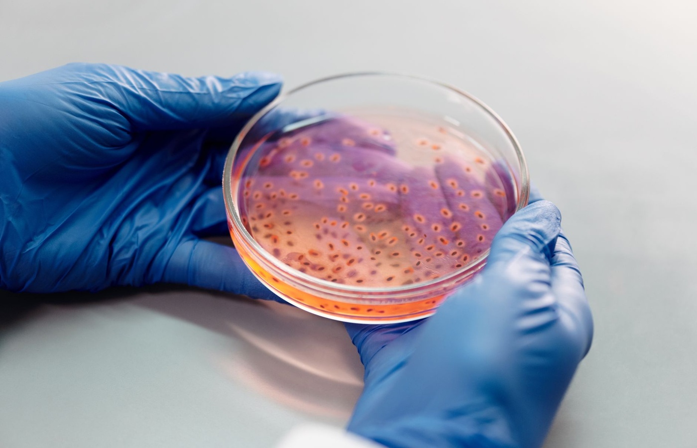 University of Central Florida (UCF) MCB2004C Microbiology for Health Professionals 4