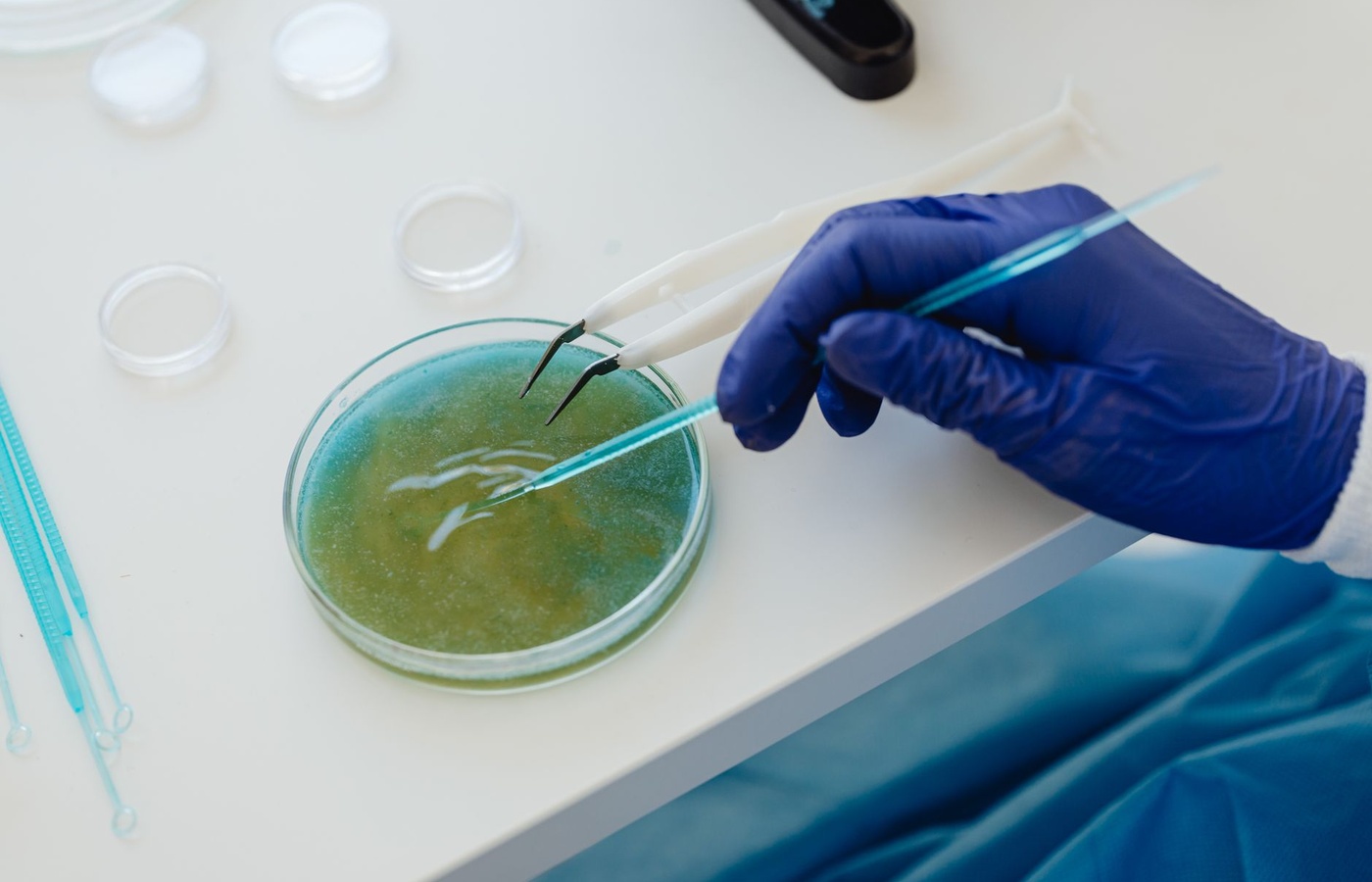 University of Central Florida (UCF) MCB3020C General Microbiology Lab Midterm