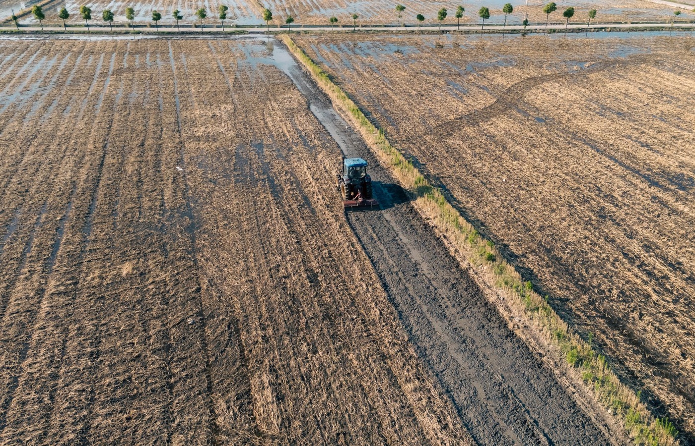 USDA Farm Bill Conservation