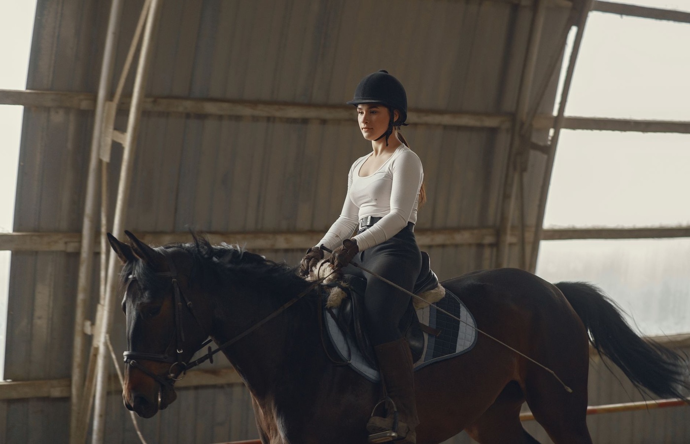 USEF Safe Sport Training