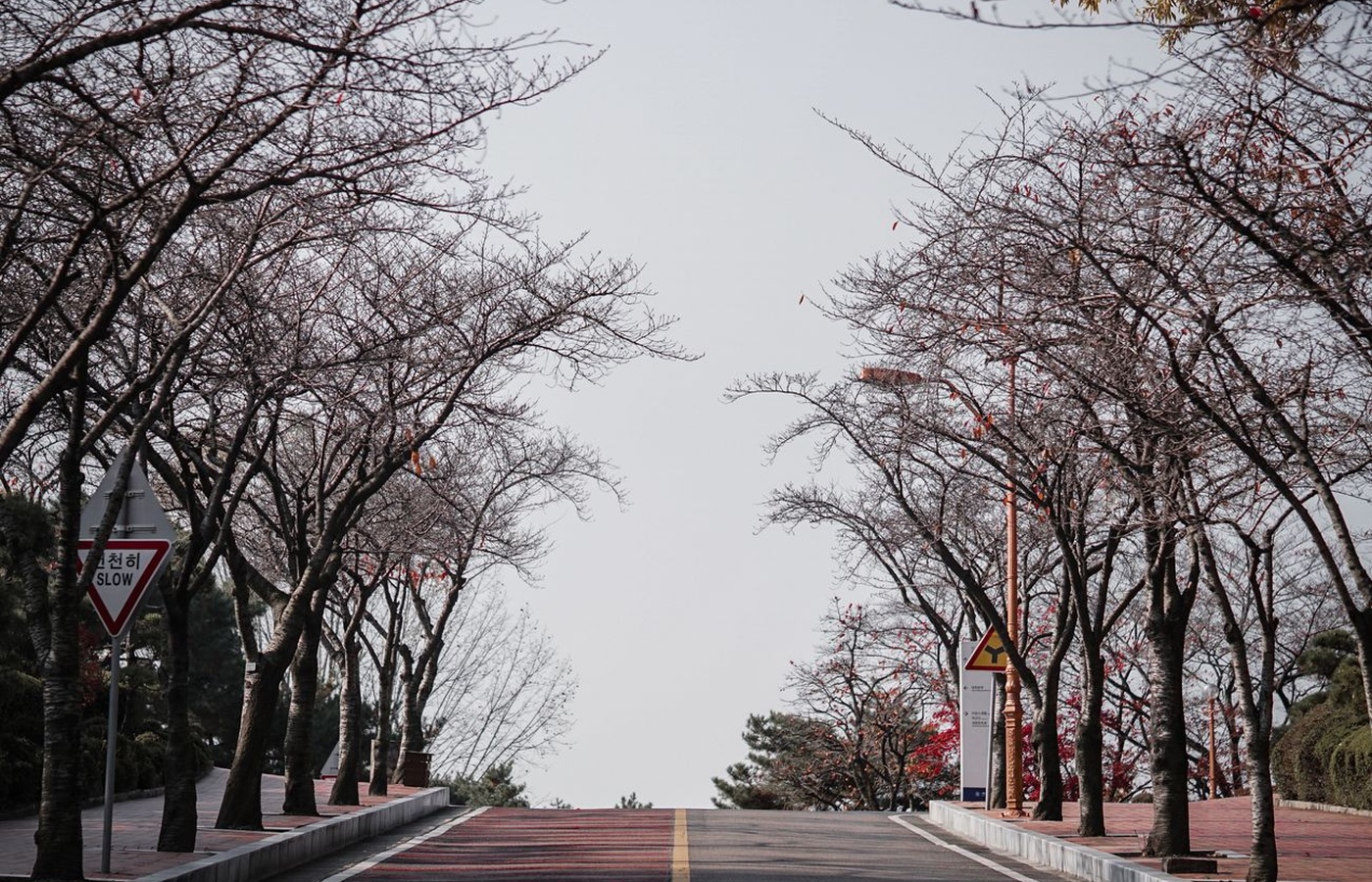 USFK Korea Driving