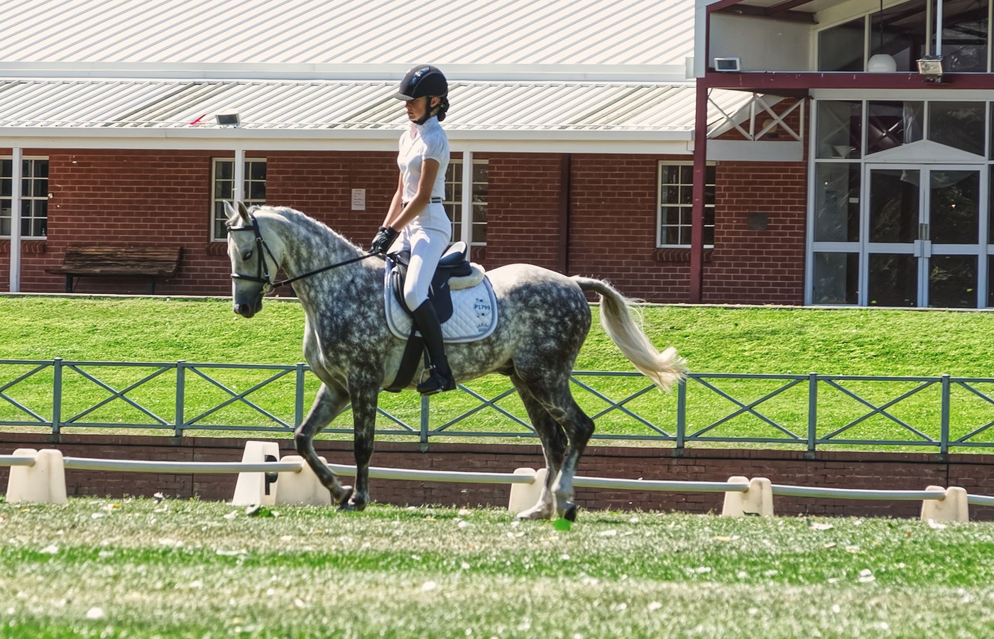 USHJA Horsemanship Quiz Challenge (HQC) Conditioning