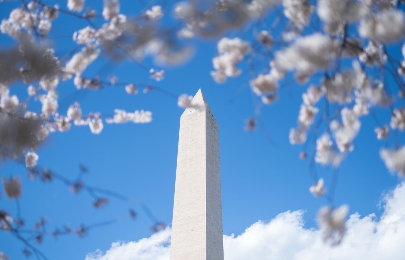 US Politics – Foundations, Federalism, Civil Liberties, and Voting