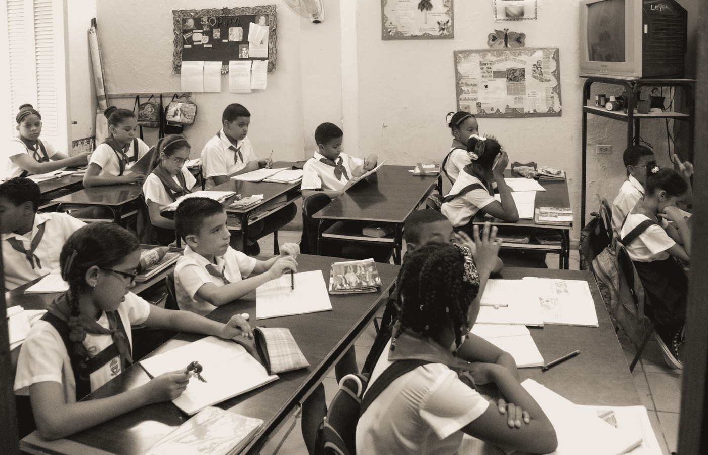 UWA Masters of Elementary Education Comprehensive