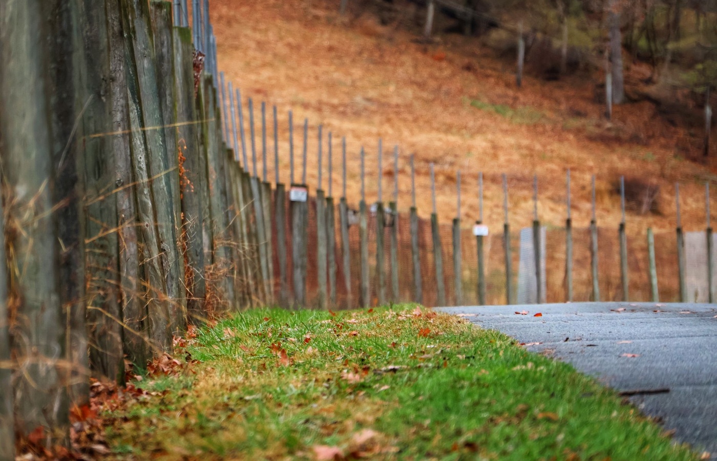 Virginia DEQ Storm Water Management (SWM) Inspector