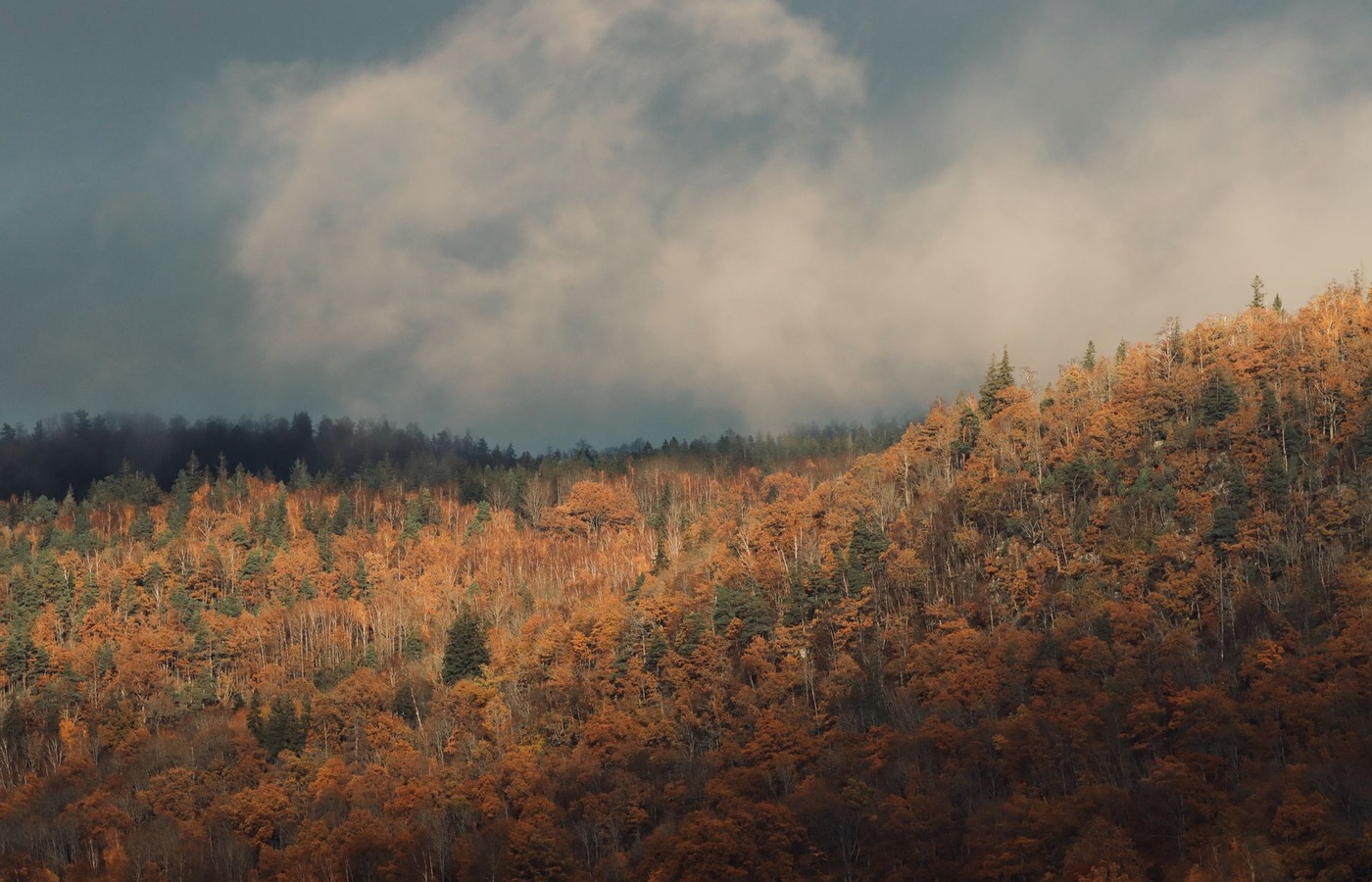 Vermont Gun Laws & Firearms Safety
