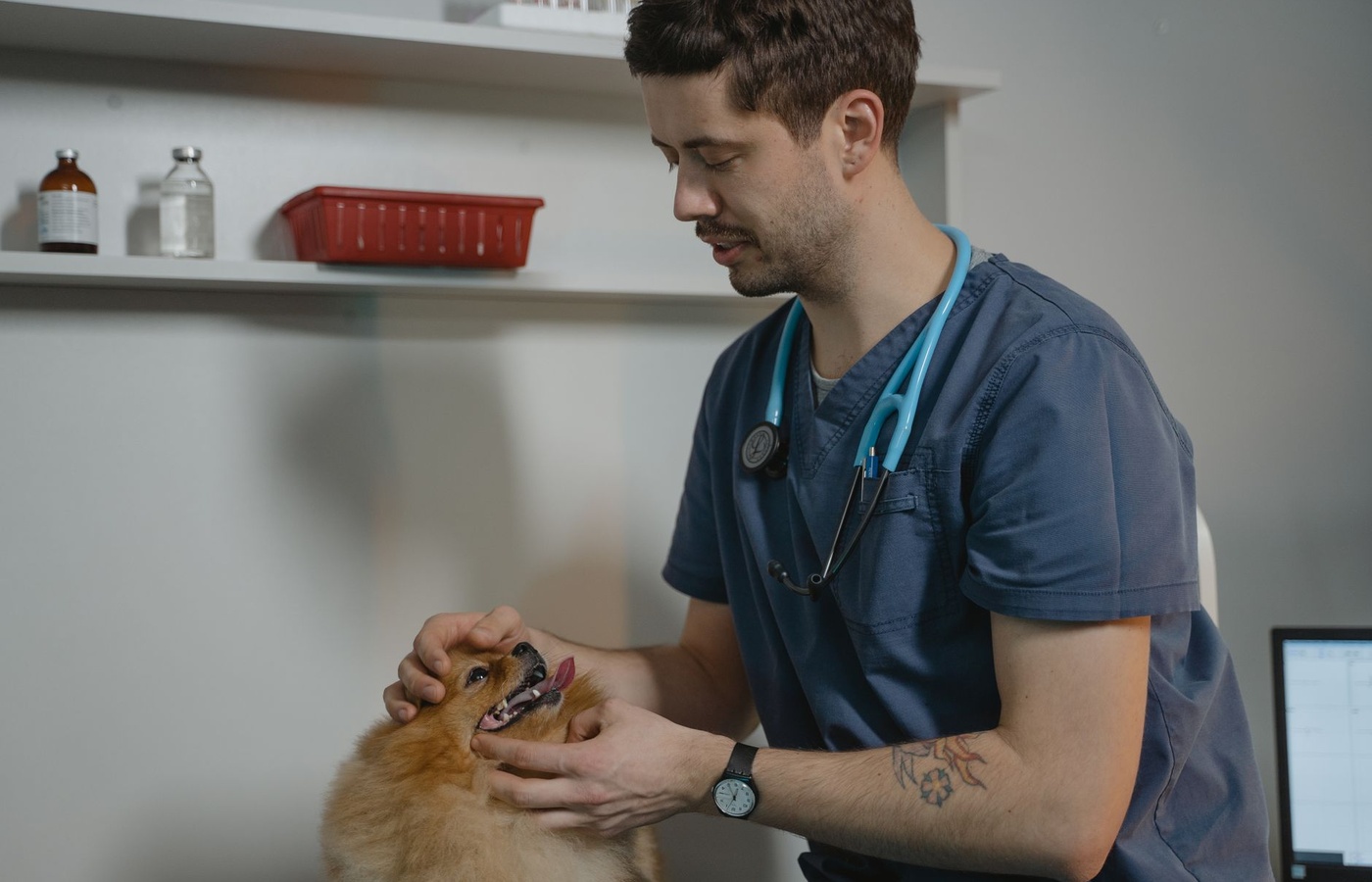 Veterinary Medicine