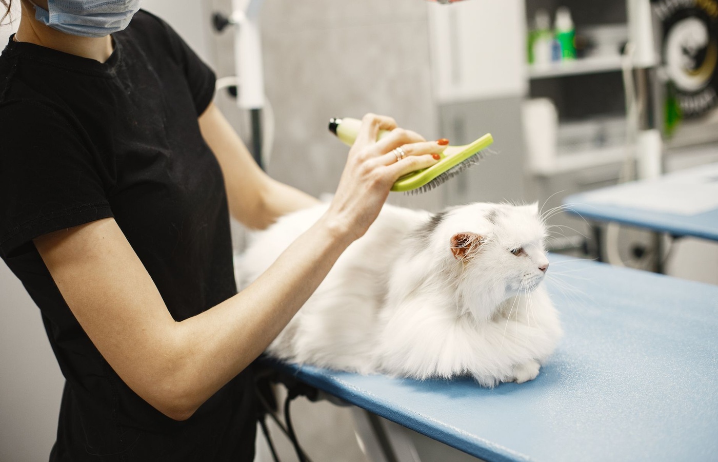 Veterinary Medication Clerk License