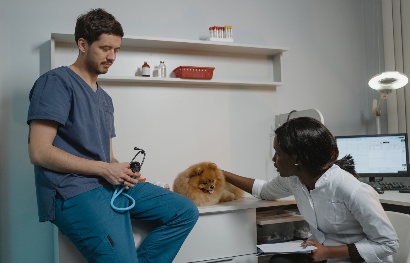Veterinary Ophthalmology