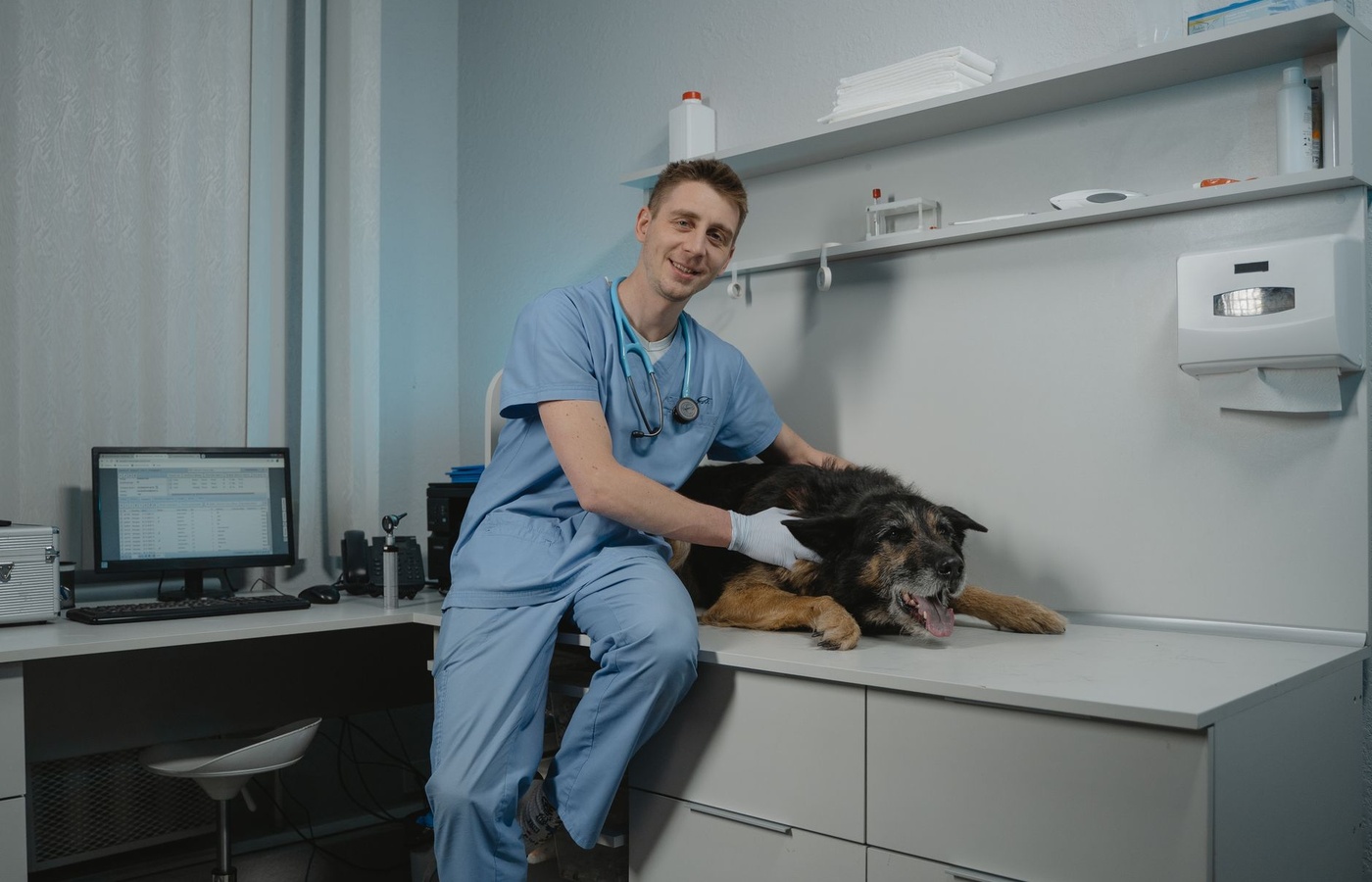 VetSkill Level 3 Diploma VN01 – Professional Veterinary Nursing Responsibilities