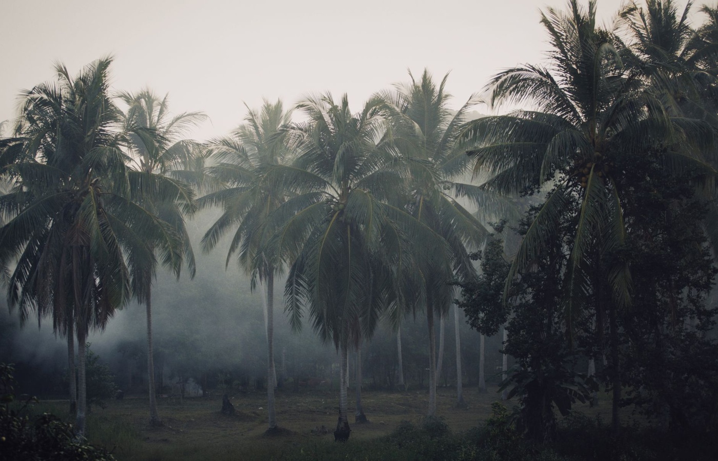 Vietnam War