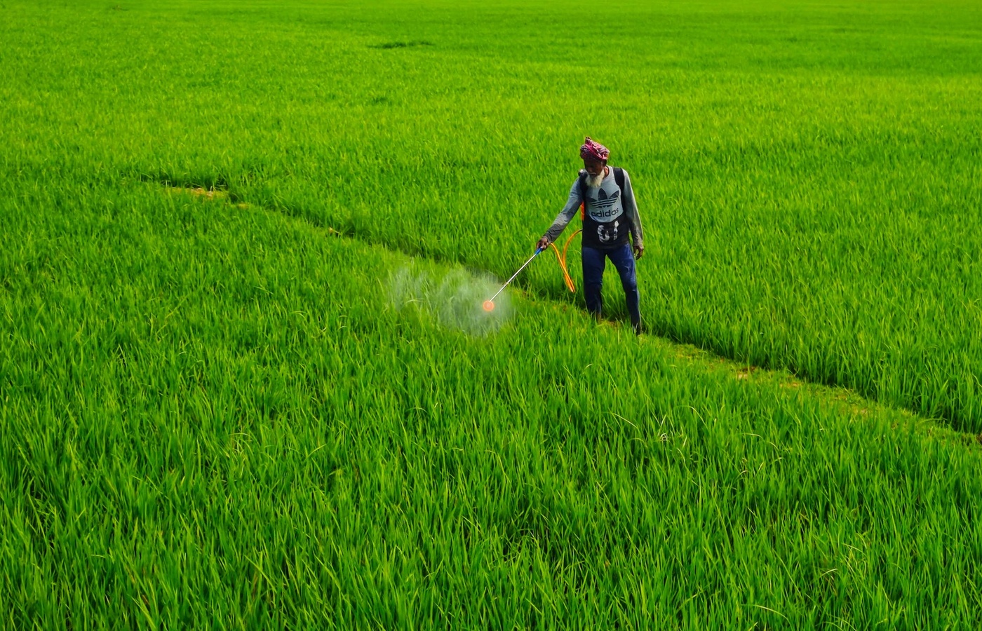 Virginia Commercial Pesticide Applicators CORE