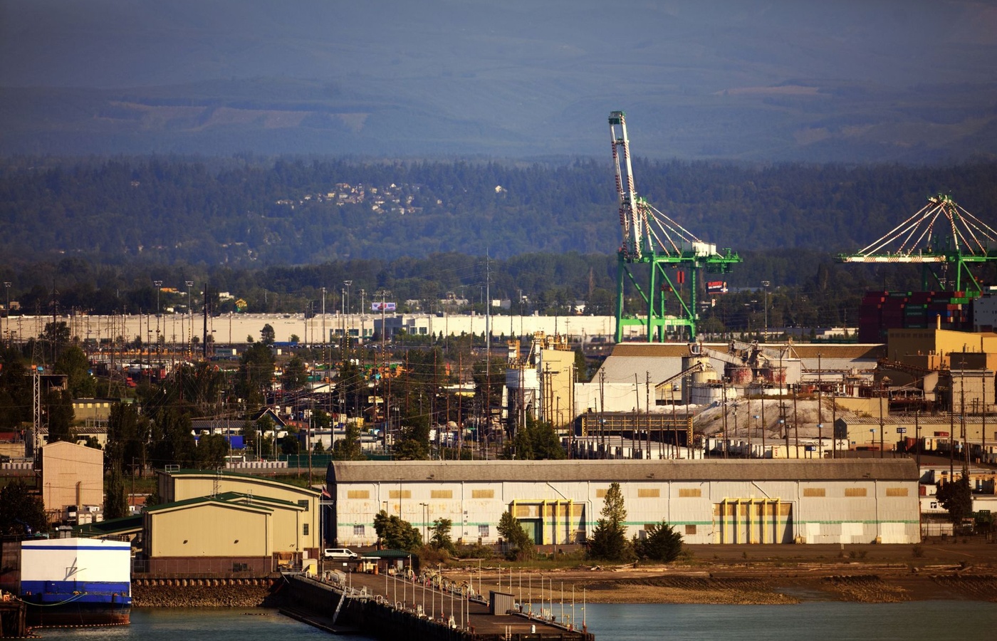 Washington Herbicide