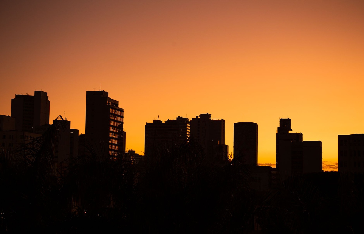 Wall Street Real Estate Financial Modeling