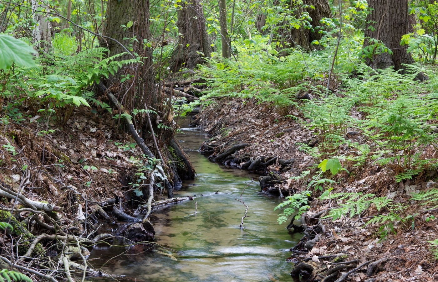 Walmart Stormwater Pollution Prevention (SWPP)