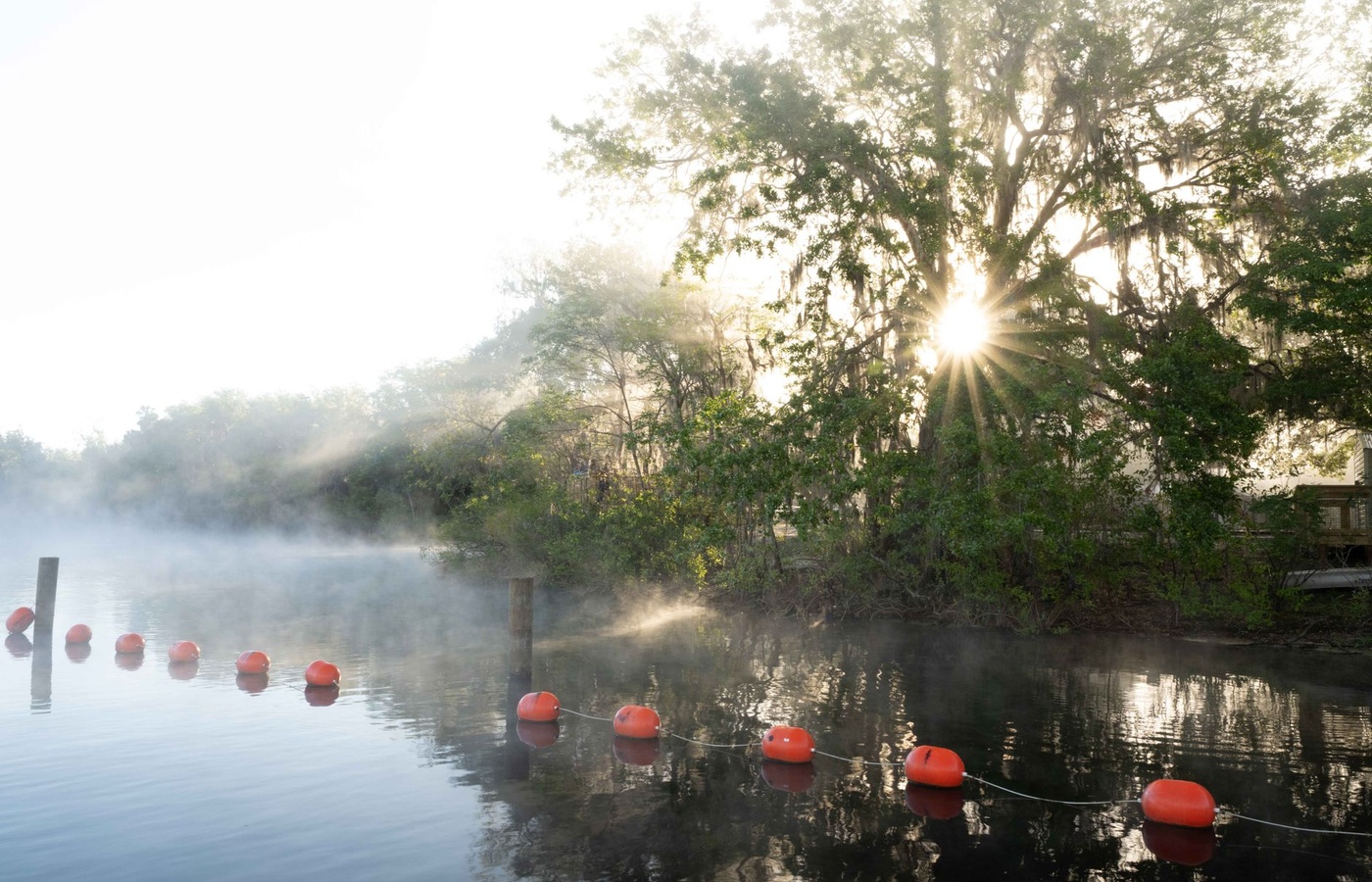 Washington Aquatic Pesticide
