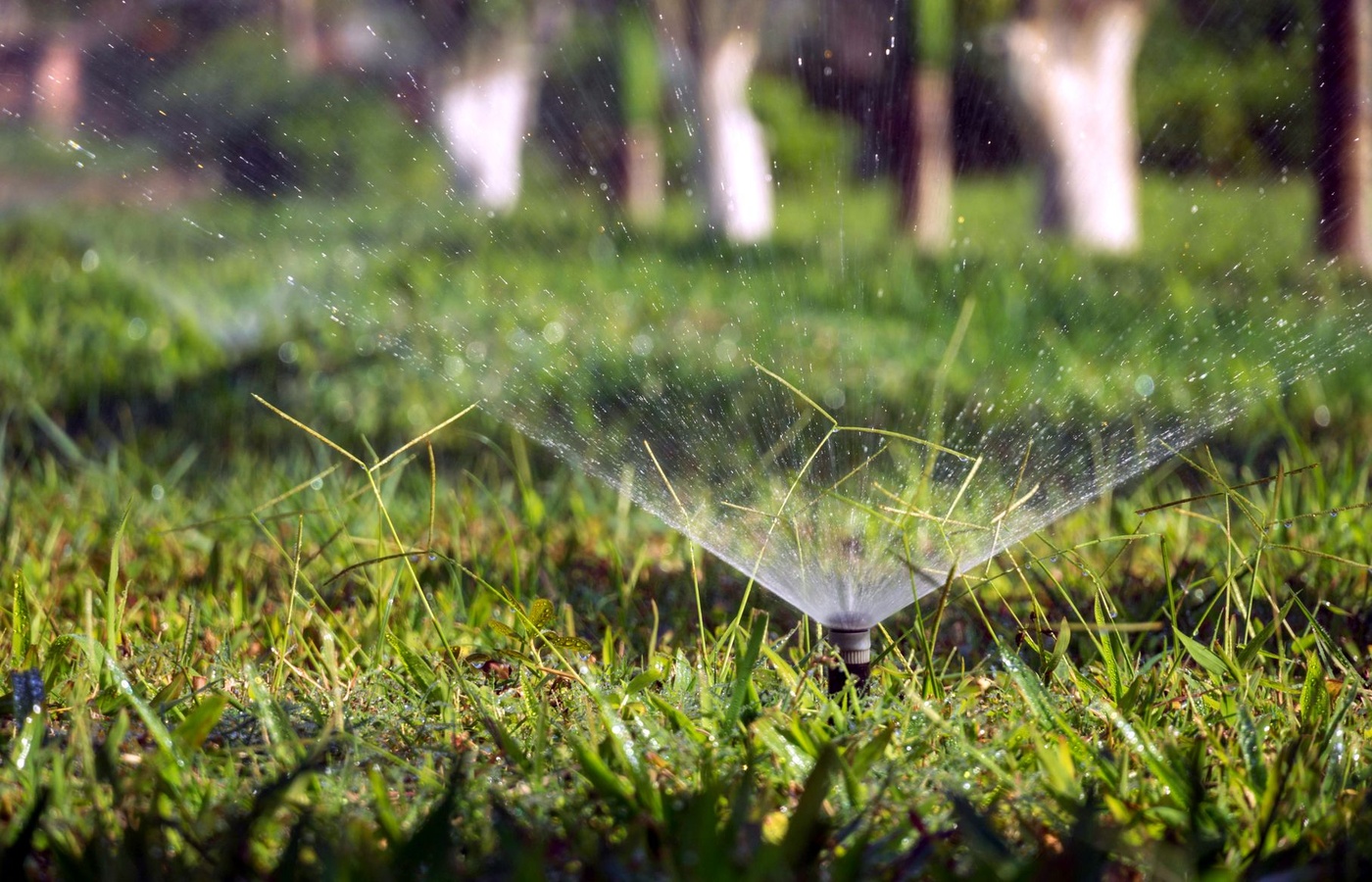 Qualified Water Efficient Landscaper (QWEL)