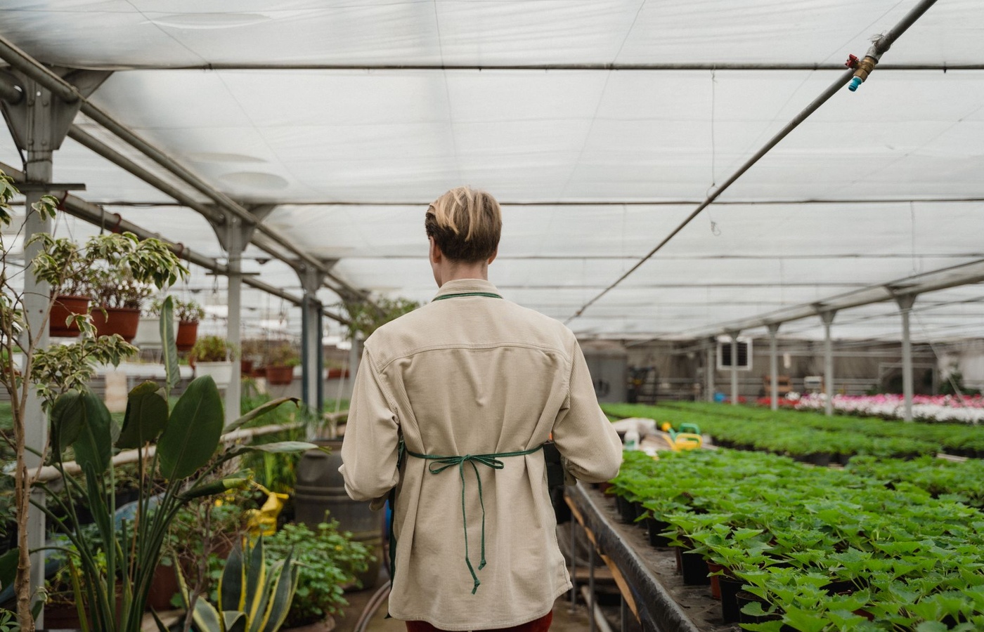WebXam Greenhouse Management