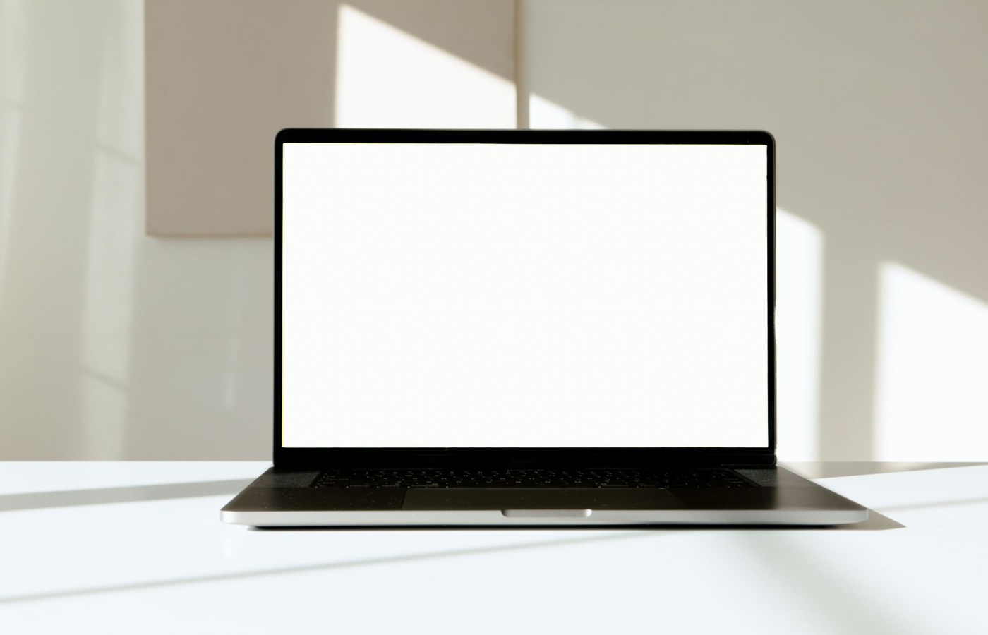 WebXam Web Design