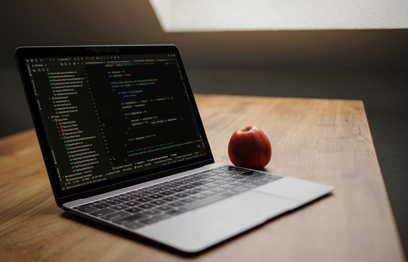 Web Development 201 (WED201c)