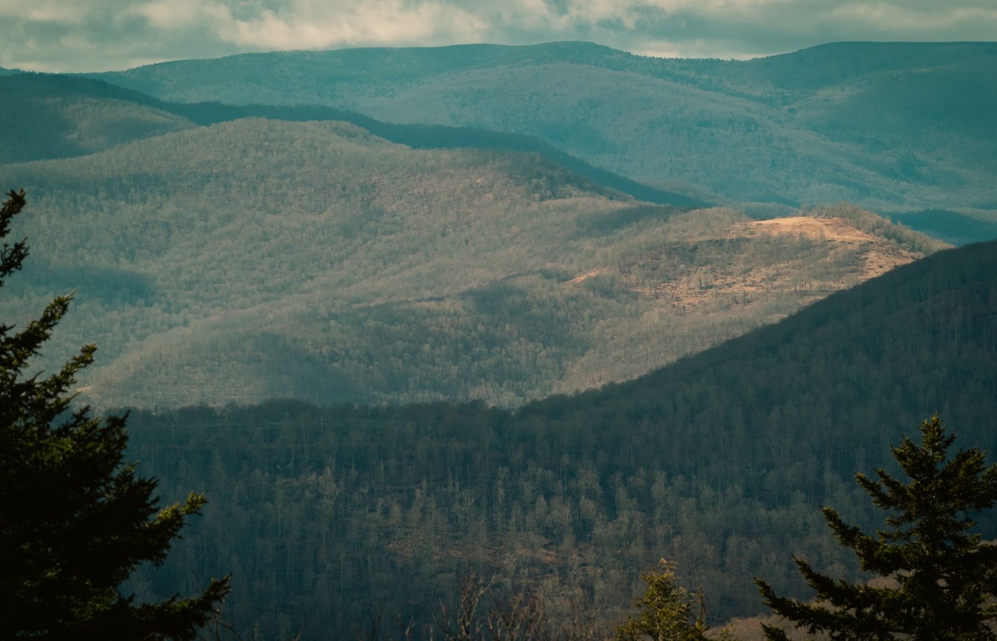 West Virginia Adjusters