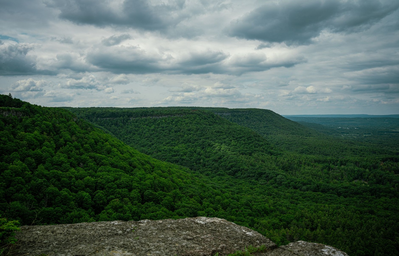 West Virginia Brokers