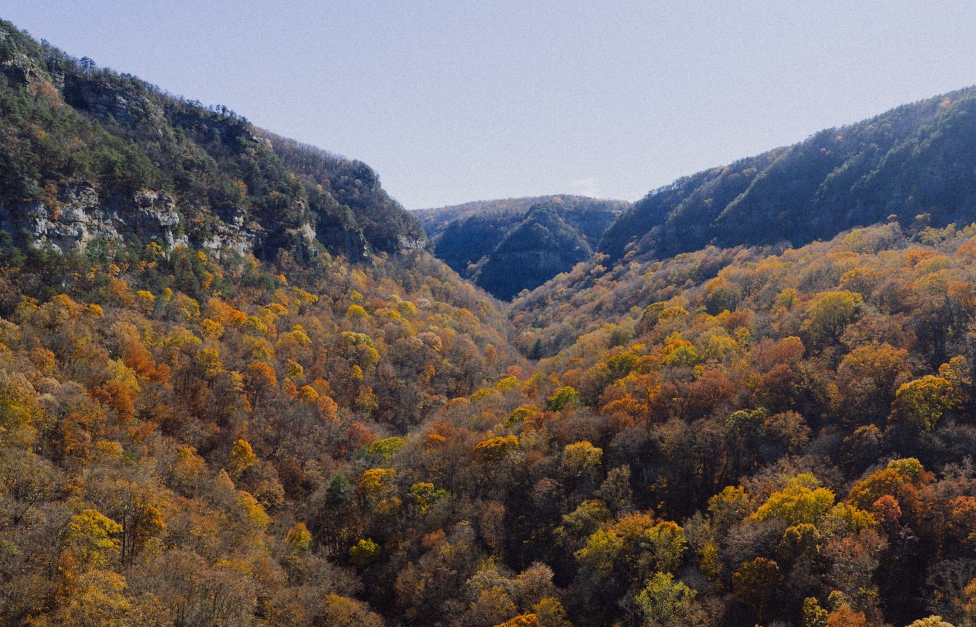 West Virginia Life and Health