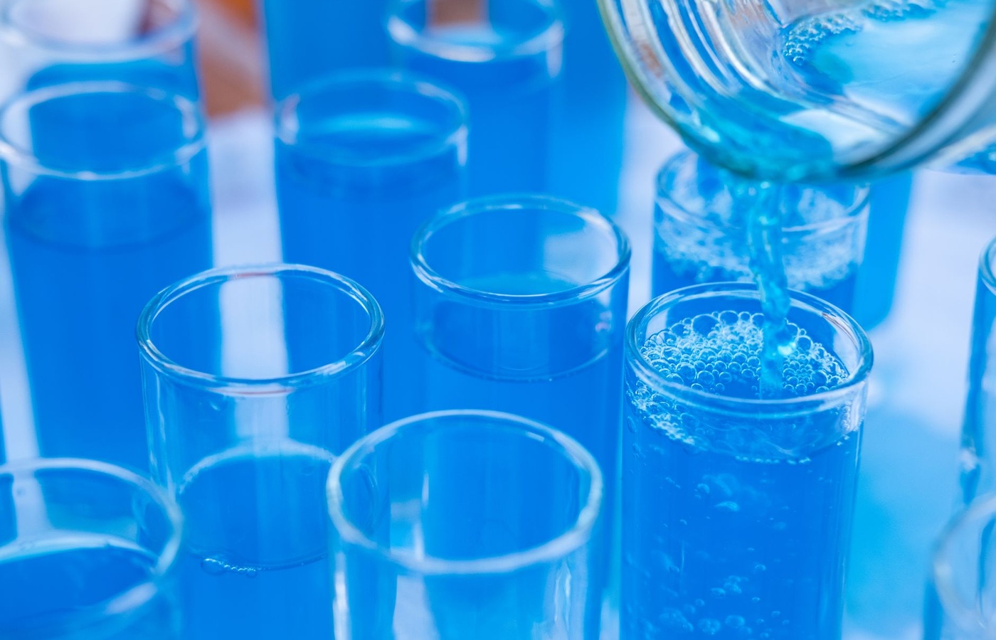 Western Governors University (WGU) NURS1010 D311 Microbiology with Lab: A Fundamental Approach