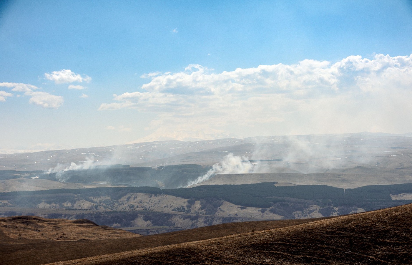 Wildfire Mitigation Specialist