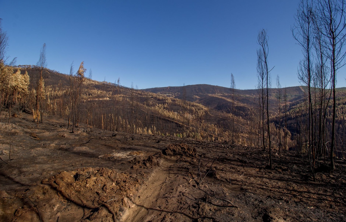 Wildland Interagency Incident Business Management (S-260)