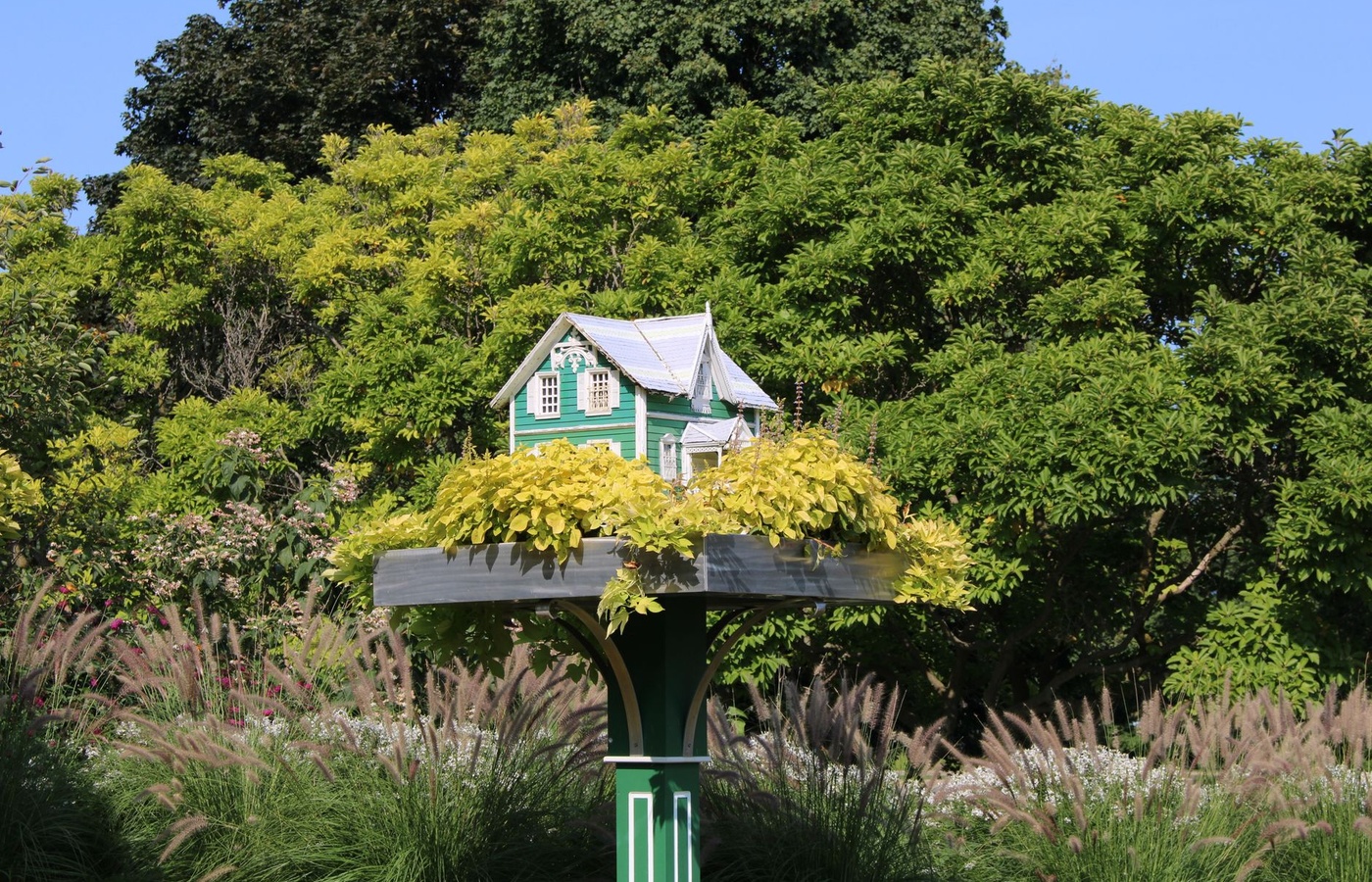 Wisconsin Master Gardener