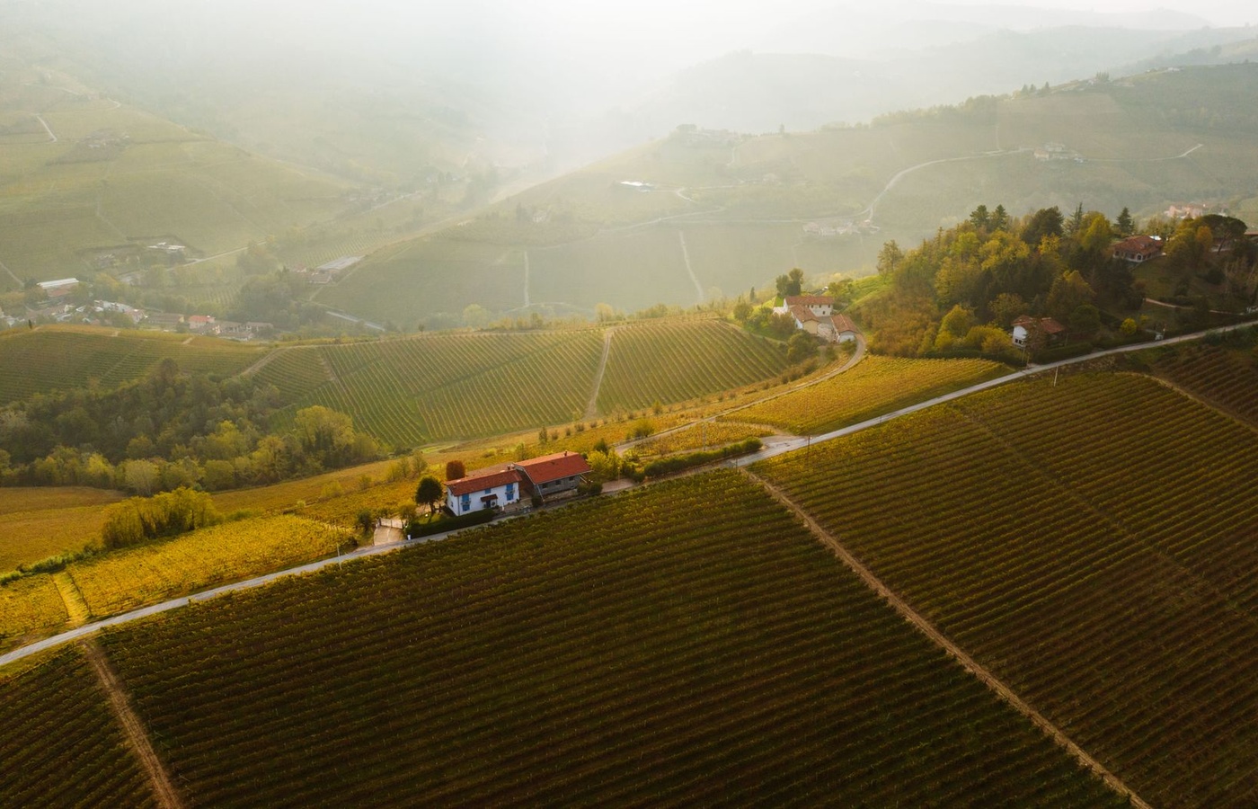 Winery Tourism