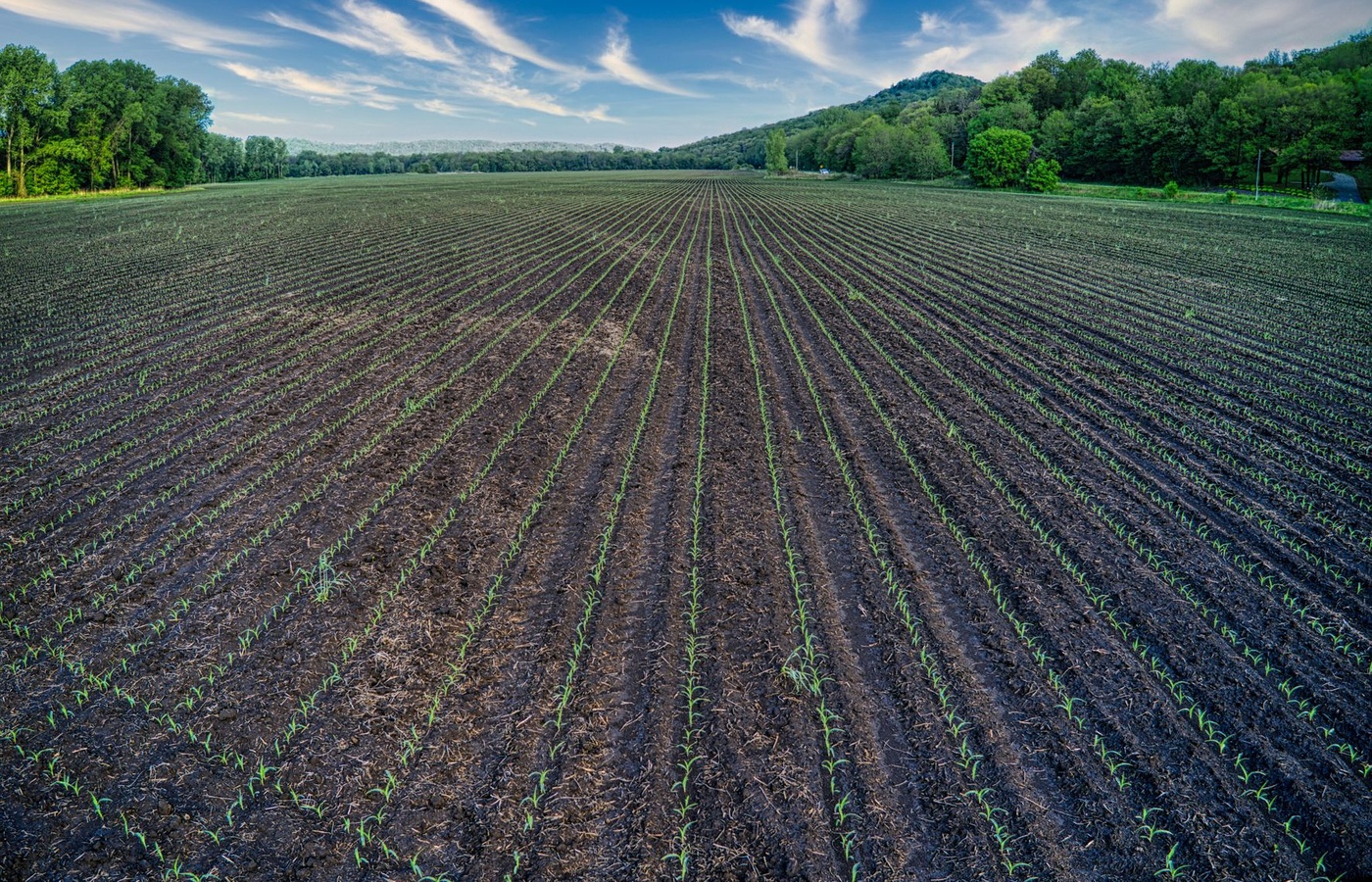 Wisconsin Mound Soil Absorption System and Area FillPractice Exam