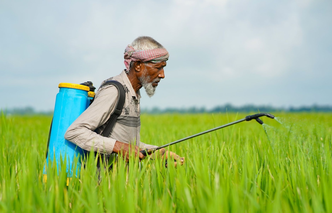 Wyoming 903A Pesticide Applicator Certification
