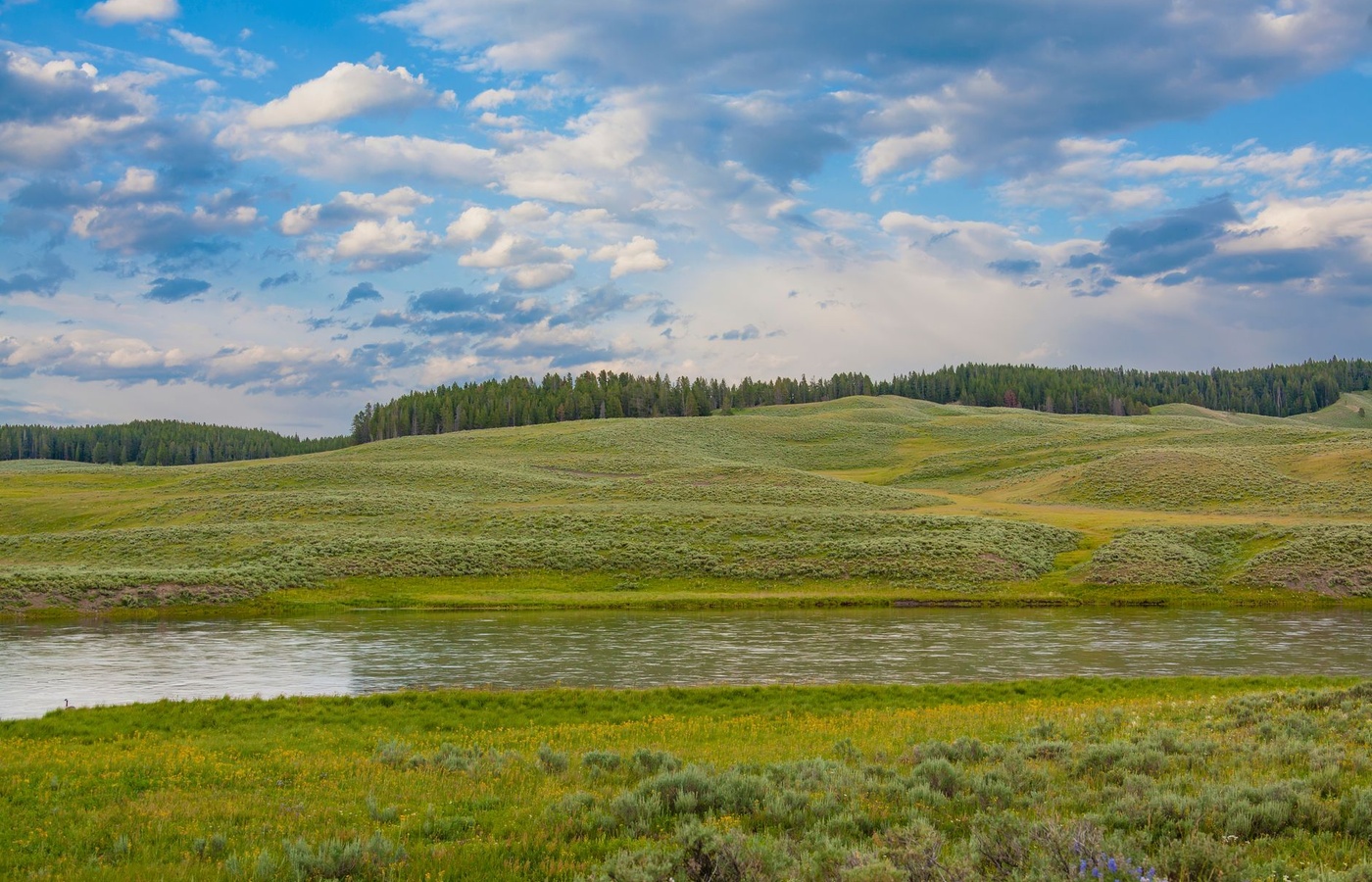 Wyoming Right-of-Way Pest Control